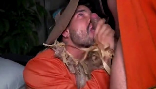 Under the scarecrow desire