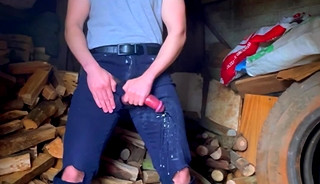 in the barn