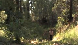 To The Last Man 2