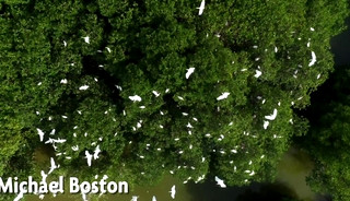 Get away - Reign Fucks Michael Boston