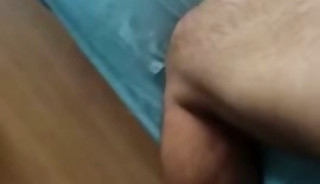 7788566