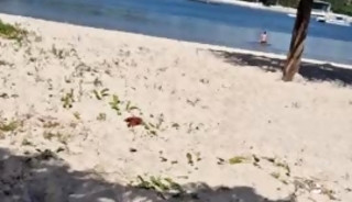 masked man having sex on the beach