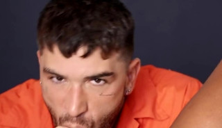 Prisioner breeds promoter