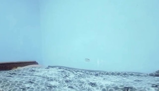 Anal masturbation, immm want