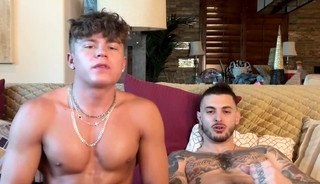 adonisbreeds-drakevonxxx