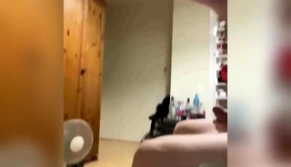 Felix masturbating with a cock ring and selfsuck. Big creamy cumshot