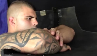 straight Aussie Buff