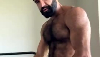 Hairy Daddy Pounds Stud