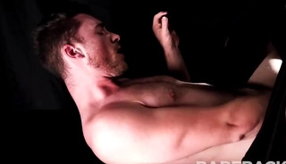 Stud Loads Vol 3.3 - Breeding Wall