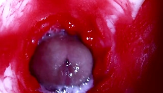 Hot Wet Sexy Hole And Sloppy Big Cock