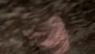 Amateur cumdump - taking loads from strangers