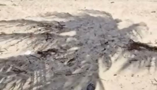 I fucked the tattooed guy on the beach
