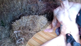 R0ME IN FARM